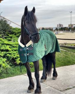 Stajňová zamatová deka pre koňa EQUITHÈME  TEDDY  - Zelená DĹŽKA: 125 cm