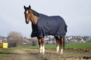 Výbehová deka pre koňa EQUITHÈME  CLASSIC 1200D - 100g DĹŽKA: 125 cm