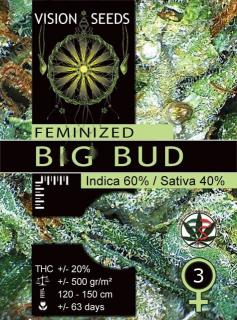 Big Bud - Vision Seeds Balenie: 10 ks