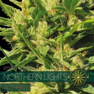 Vision Northern Light Auto - vision seeds Balenie: 10 ks