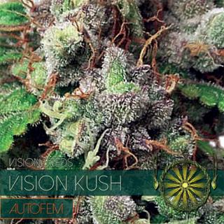 Vision Seeds Vision Kush AutoFem 0% THC Balenie: 10 ks