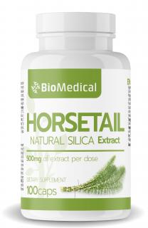 Horsetail – extrakt z prasličky roľnej Balenie: 100 caps