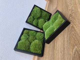 Machové TRIO 3x BOLMOSS