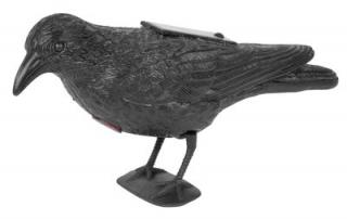 Plašič vtákov Havran čierny, solárny, zvuk (8090839)