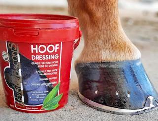 KEVIN BACON’S HOOF DRESSING (rôzne prevedenia) Balenie: 1L bez farebná