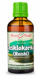 Bylinné kvapky Lesklokôrovka (reishi) - tinktúra, 50 ml