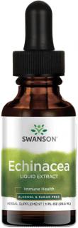 Swanson Echinacea Tekutý Extrakt, 29,6 ml, Bez alkoholu a cukru