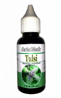 Bazalka posvätná - Tulsi (Ocinum sanctum L.)