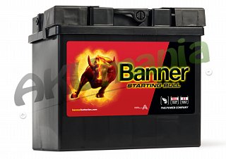 BANNER Akumulator Banner Starting Bull 12V 30Ah 300A L+ 53034