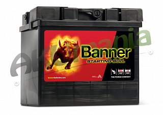 BANNER Banner Starting Bull 12V 30Ah 300A 53030