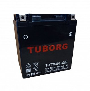 Tuborg TUBORG YTX30L-GEL 12V 30AH 450A