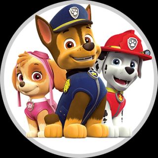 Paw Patrol 1