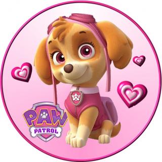 Paw Patrol 10