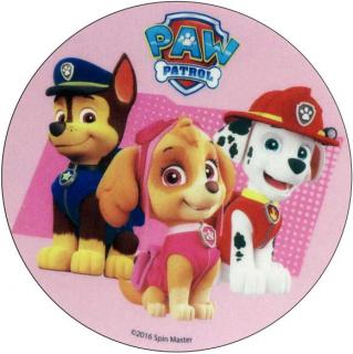 Paw Patrol 11