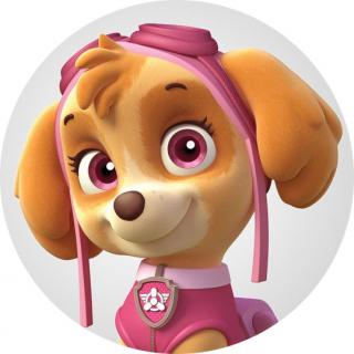 Paw Patrol 20