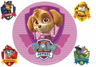 Paw Patrol 21