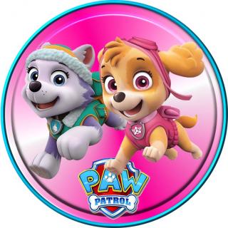 Paw Patrol 9