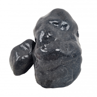 Black Venom Set Box Boulder WIO