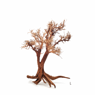 Bonsai Strom WIO - Tree Arboretum XL