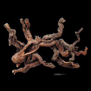 Centurion drevo WIO - Centurion Wood XL 70-100cm