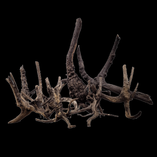 Čierne drevo WIO - Black Tree Trunk Wood M 25-40cm