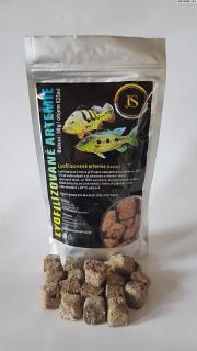 Lyofilizované artemie (kocky) 100g