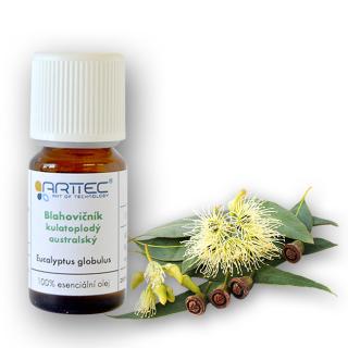 Eukalyptus guľatoplodý bio (Eucalyptus globulus), Eukalyptus guĺatoplodý