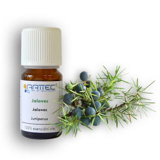 Jalovec de Provence bio (Juniperus communis L.), Jalovec