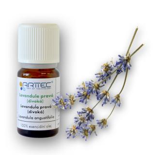 Levanduľa pravá (divoká) de Provence (Lavandula angustifolia)