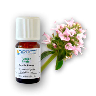 Tymian linalol (Thymus vulgaris linaloriferum)