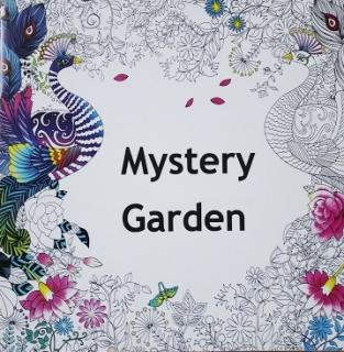 Antistresová omaľovánka Mystery Garden (22 veľko strán) (Antistresová omaľovánka)