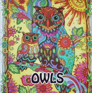 Antistresová omaľovánka Owls - Sovy  (96 veľko strán) (Antistresová omaľovánka)