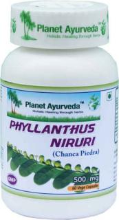 Planet Ayurveda Chanca Piedra (Phyllanthus  niruri) kapsuly 60cps
