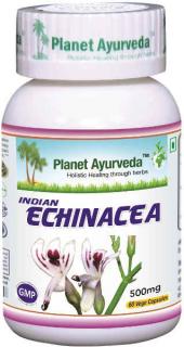 Planet Ayurveda Indická Echinacea (Právenka latnatá) kapsuly 60cps