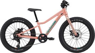 Cannondale Kids Trail Plus 20", bicykel - Salomon