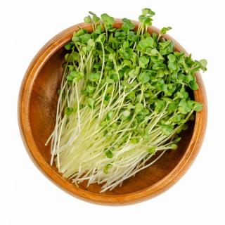 inGREEN inGreen Microgreens set 2+2 BROKOLICE
