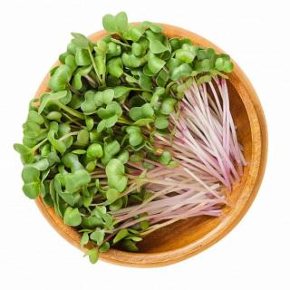 inGREEN inGreen Microgreens set 2+2 KEDLUBNA