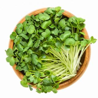 inGREEN inGreen Microgreens set 2+2 ŘEDKEV DAIKON