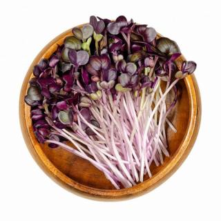 inGREEN inGreen Microgreens set 2+2 ZELÍ ČERVENÉ