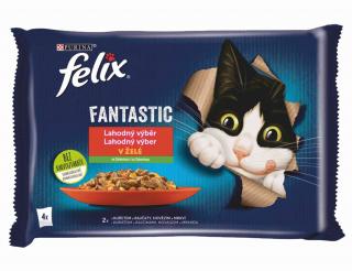 FELIX Fantastic kapsičky - kura s rajčinami / hovädzie s mrkvou 4x85g