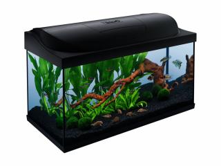 TETRA Starter Line LED akvárium 105L set - čierne