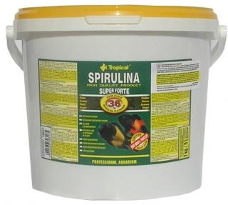 TROPICAL-Spirulina Forte 36% 5L/1kg