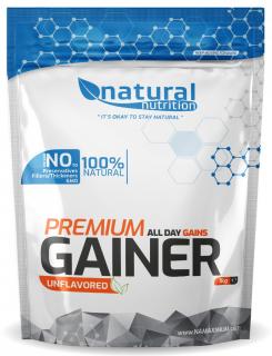 NATURAL NUTRITION  Gainer Premium Natural 4000 g