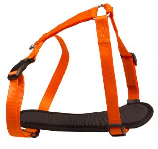 BAFPET Popruhový postroj NEON Farba: Oranžová, Veľkosť: 15mm x OH 32-46cm 18413N