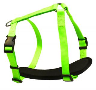 BAFPET Popruhový postroj NEON Farba: Zelená, Veľkosť: 15mm x OH 32-46cm 18413N