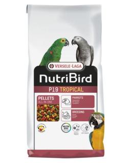 VL NutriBird P19 Tropical- extrudy pre chov, preperovanie a zvýšené nároky veľkých papagájov s tropickým ovocím 10 kg