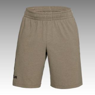 Under Armour Men’s Sportstyle Cotton Graphic Shorts