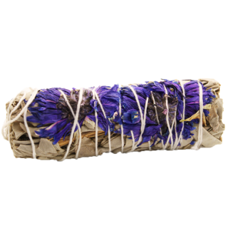 Vykurovací Zväzok - Šalvia Purple Daze (Prunella Fialová) 10cm