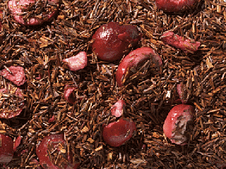 Clematis červený ROOIBOS brusnica 250 g Rooibos čaj
