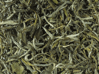 Clematis  CHINA SNOW BUDS 100 g Biely čaj